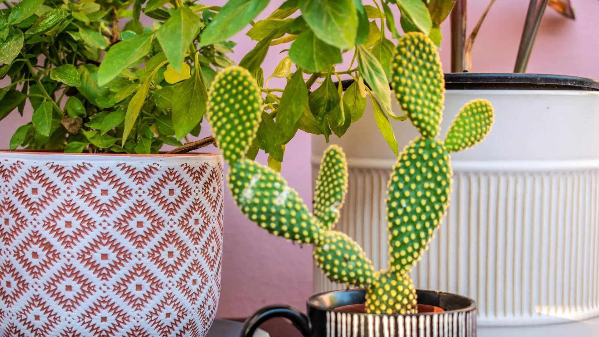 Studio Casa Di Christina Chania  Greece